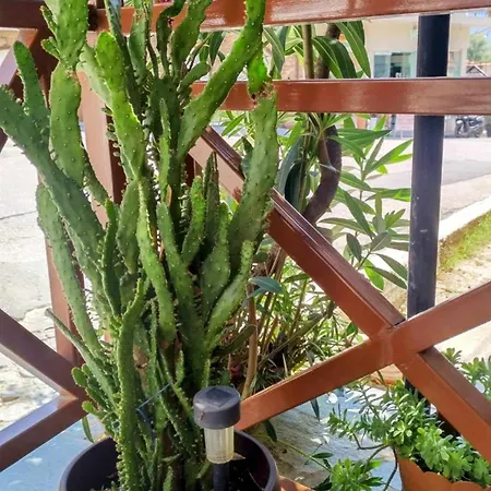 Yiannis House בית נופש קאלאבאקה