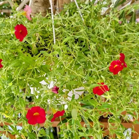 Yiannis House Holiday home